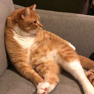 Meet your Posher, Marisa